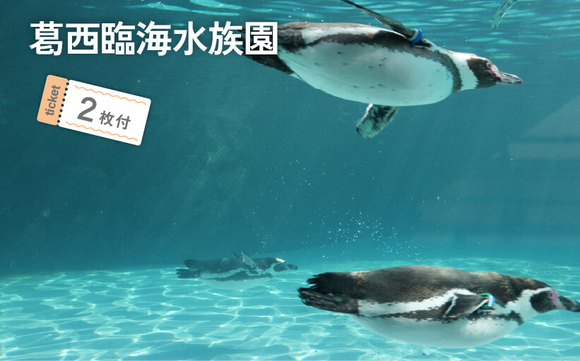 葛西臨海水族園 ticket2枚付
